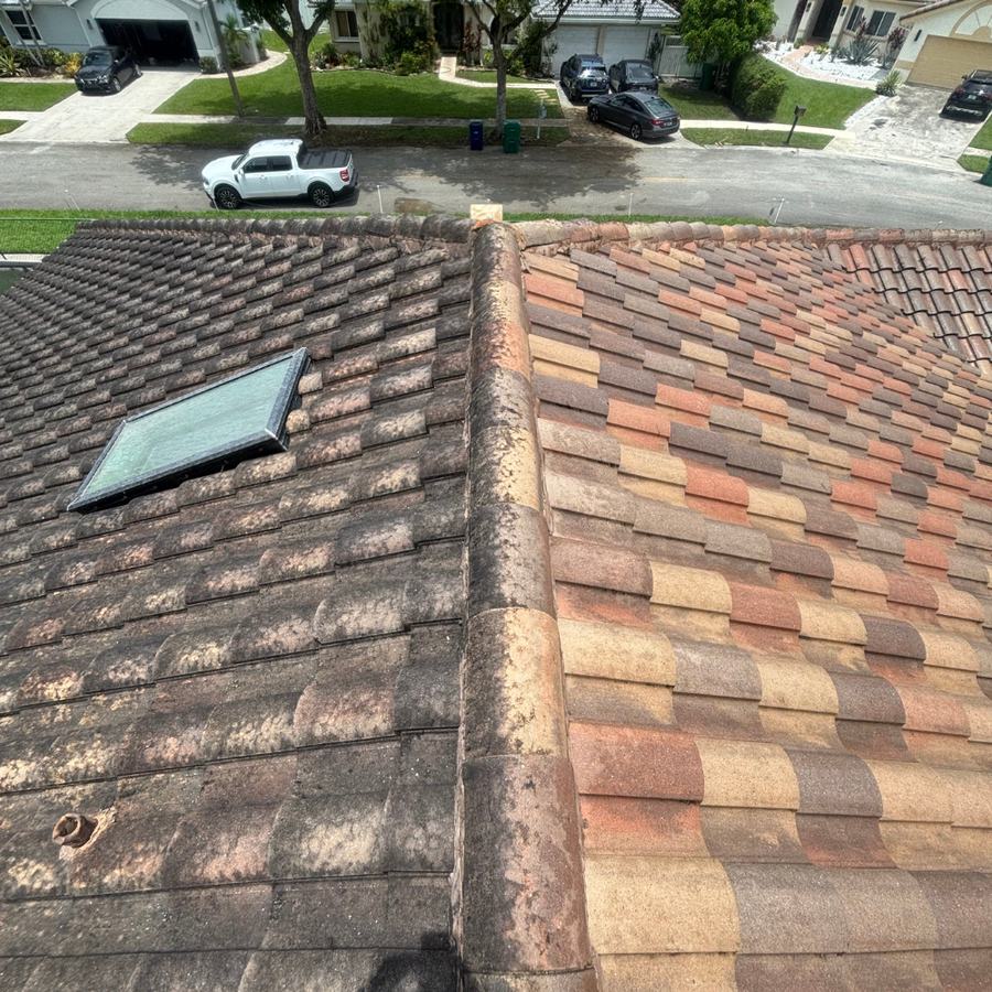 Tile roof before and after soft washing
