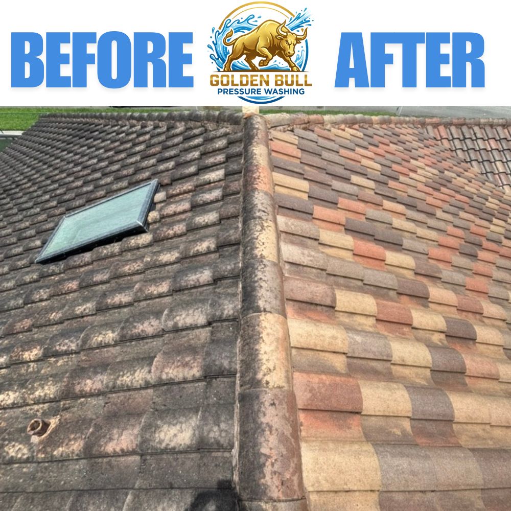 Before and after: tile roof soft washed by Golden Bull