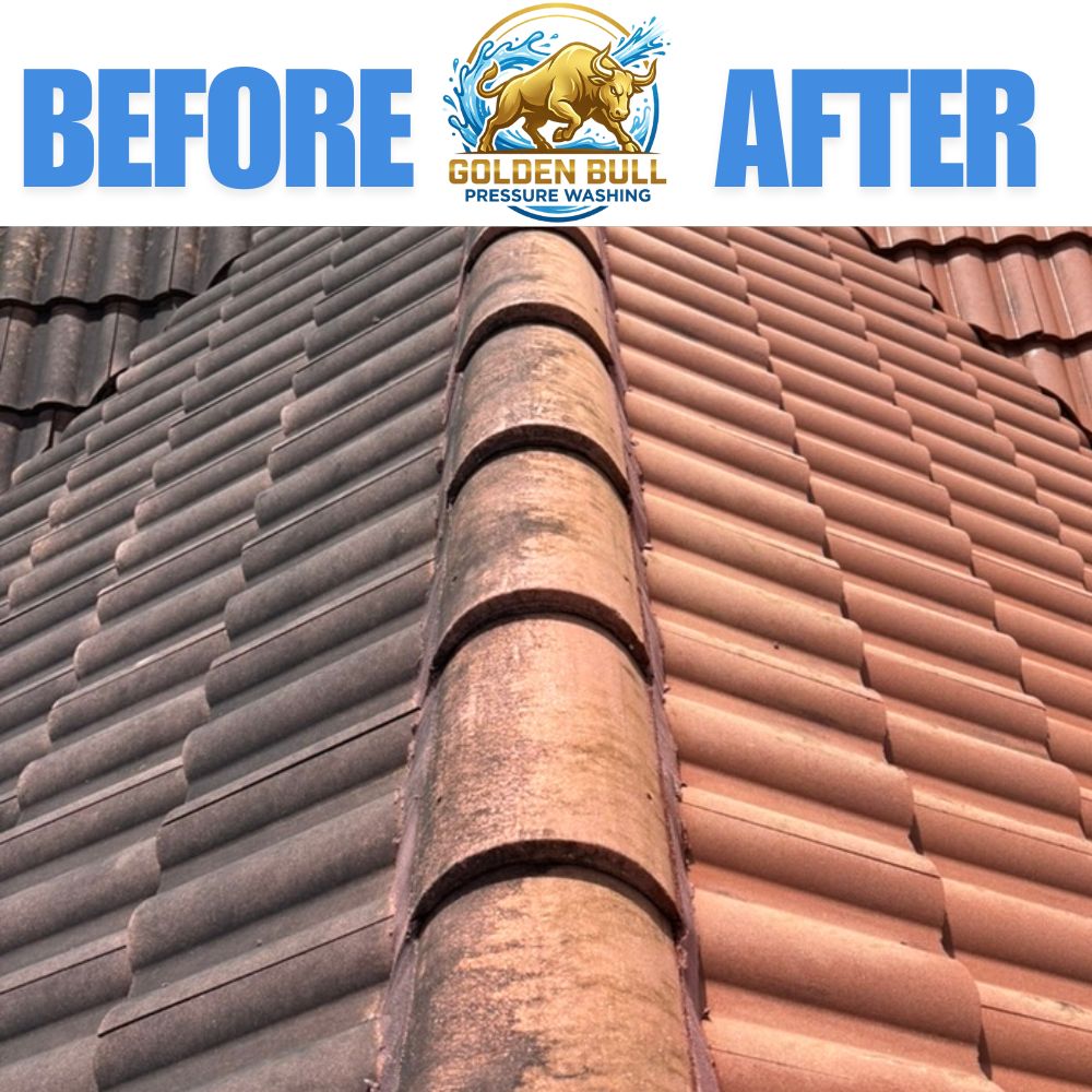 Before and after: barrel tile roof restored to original color